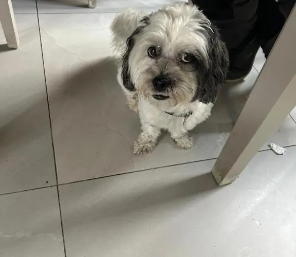 Séjour chez l'habitant 1 Luxurious In Family Killarney