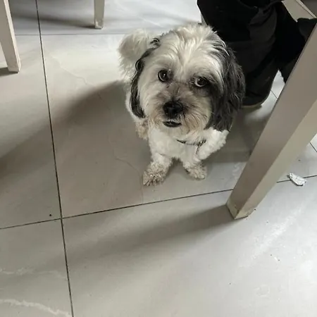 Homestay 1 Luxurious In Family Killarney